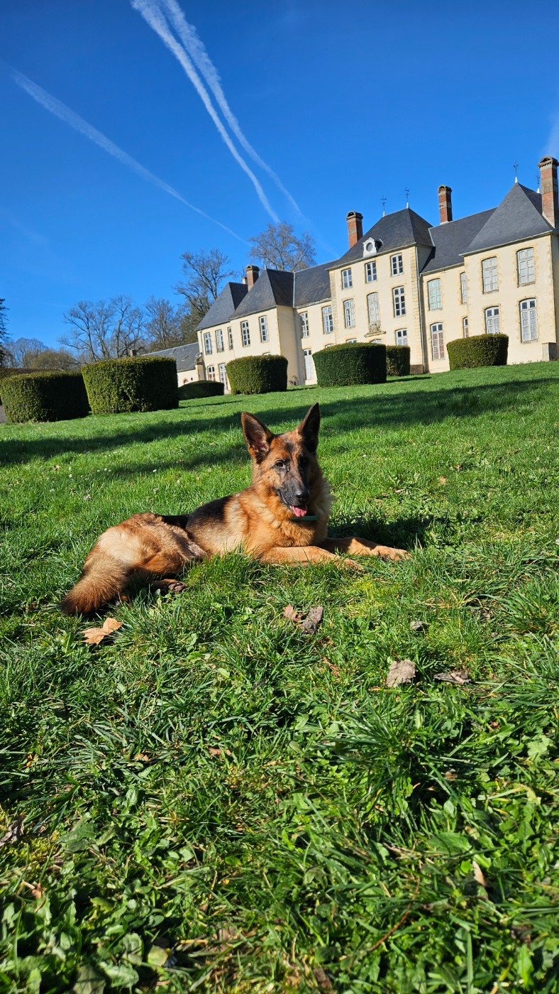 Toscane du chateau de Bizy (Sans Affixe)